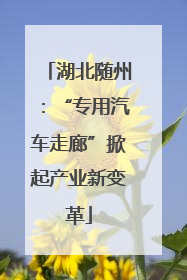 湖北随州：“专用汽车走廊”掀起产业新变革