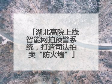 湖北高院上线智能网拍预警系统，打造司法拍卖“防火墙”