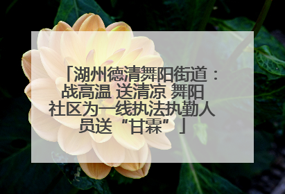 湖州德清舞阳街道：战高温 送清凉 舞阳社区为一线执法执勤人员送“甘霖”