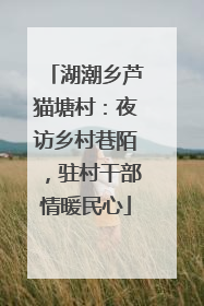 湖潮乡芦猫塘村：夜访乡村巷陌，驻村干部情暖民心