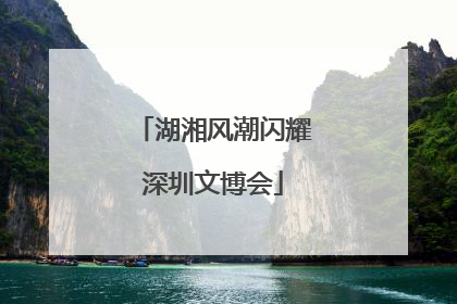 湖湘风潮闪耀深圳文博会