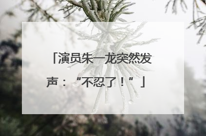 演员朱一龙突然发声：“不忍了！”