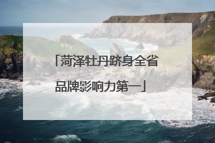 菏泽牡丹跻身全省品牌影响力第一