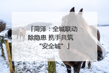 菏泽：全城联动除隐患 携手共筑“安全城”