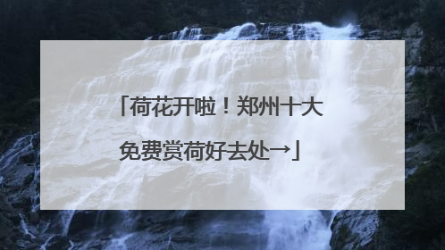 荷花开啦！郑州十大免费赏荷好去处→