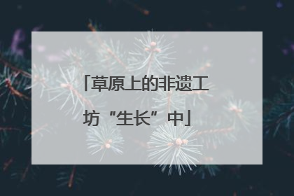 草原上的非遗工坊“生长”中