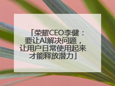 荣耀CEO李健：要让AI解决问题，让用户日常使用起来才能释放潜力