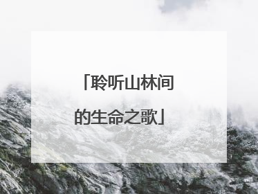 聆听山林间的生命之歌