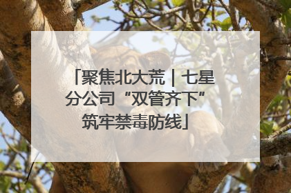 聚焦北大荒｜七星分公司“双管齐下”筑牢禁毒防线