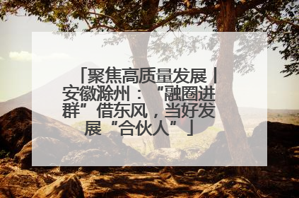 聚焦高质量发展丨安徽滁州：“融圈进群”借东风，当好发展“合伙人”