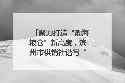 聚力打造“渤海粮仓”新高度，滨州市供销社谱写“三夏”丰收乐章