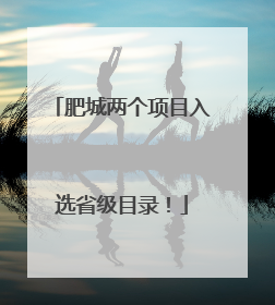 肥城两个项目入选省级目录！