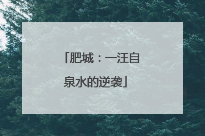 肥城：一汪自泉水的逆袭