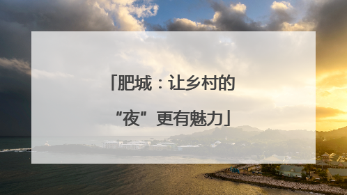 肥城：让乡村的“夜”更有魅力