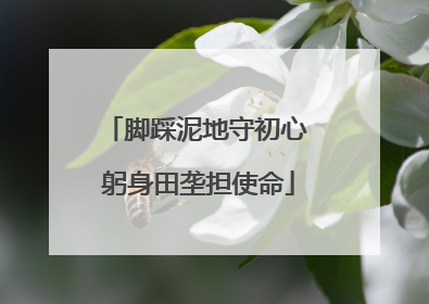 脚踩泥地守初心 躬身田垄担使命