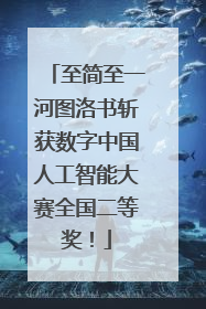 至简至一河图洛书斩获数字中国人工智能大赛全国二等奖！