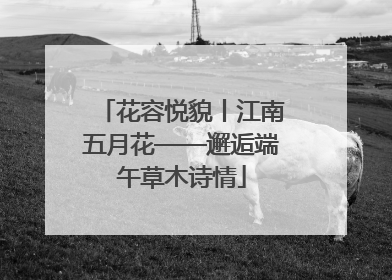 花容悦貌丨江南五月花——邂逅端午草木诗情
