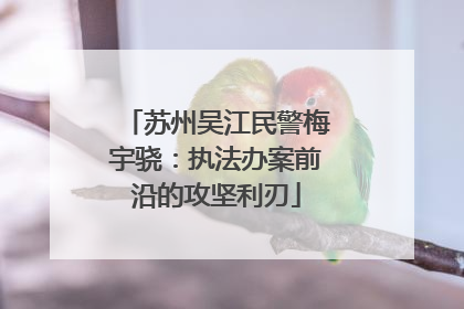 苏州吴江民警梅宇骁：执法办案前沿的攻坚利刃