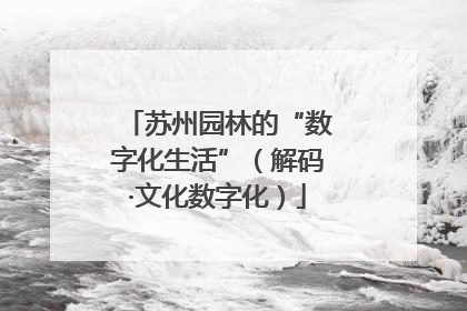 苏州园林的“数字化生活”（解码·文化数字化）