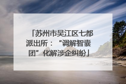 苏州市吴江区七都派出所：“调解智囊团”化解涉企纠纷
