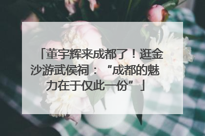 董宇辉来成都了！逛金沙游武侯祠：“成都的魅力在于仅此一份”