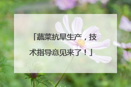 蔬菜抗旱生产，技术指导意见来了！
