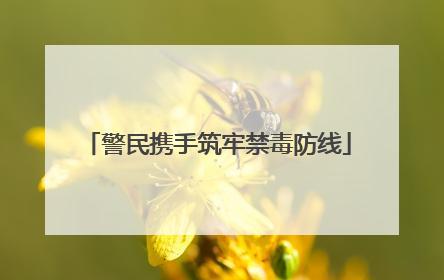 警民携手筑牢禁毒防线