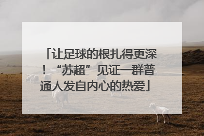 让足球的根扎得更深！“苏超”见证一群普通人发自内心的热爱
