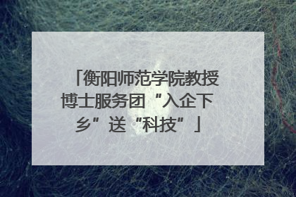 衡阳师范学院教授博士服务团“入企下乡”送“科技”