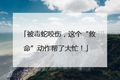 被毒蛇咬伤，这个“救命”动作帮了大忙！