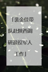 裴金佳带队赴陕西调研退役军人工作