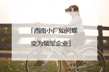 西南小厂如何蝶变为领军企业