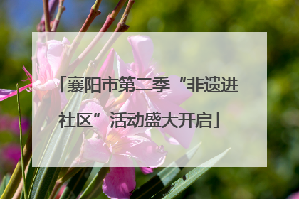 襄阳市第二季“非遗进社区”活动盛大开启