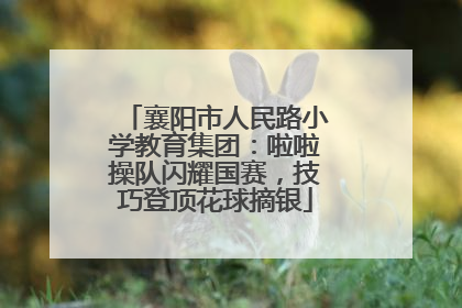 襄阳市人民路小学教育集团：啦啦操队闪耀国赛，技巧登顶花球摘银