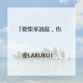 要柴米油盐，也要LABUBU