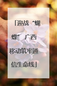 迎战“蝴蝶” 广西移动筑牢通信生命线