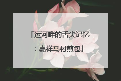 运河畔的舌尖记忆：嘉祥马村煎包