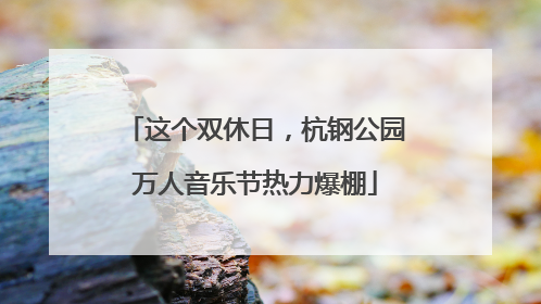 这个双休日，杭钢公园万人音乐节热力爆棚