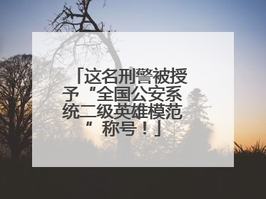 这名刑警被授予“全国公安系统二级英雄模范”称号！