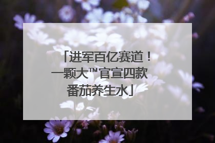 进军百亿赛道！一颗大™官宣四款番茄养生水