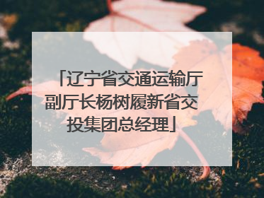 辽宁省交通运输厅副厅长杨树履新省交投集团总经理