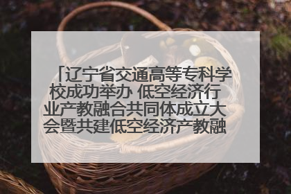 辽宁省交通高等专科学校成功举办 低空经济行业产教融合共同体成立大会暨共建低空经济产教融合新生态论坛
