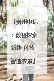 贵州电信：数智探索新路 科技智造农景