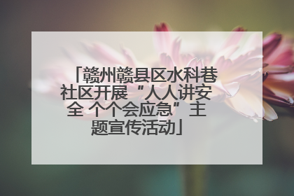 赣州赣县区水科巷社区开展“人人讲安全 个个会应急”主题宣传活动