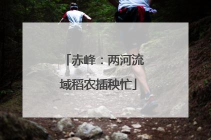 赤峰：两河流域稻农插秧忙