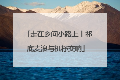 走在乡间小路上丨祁底麦浪与机杼交响