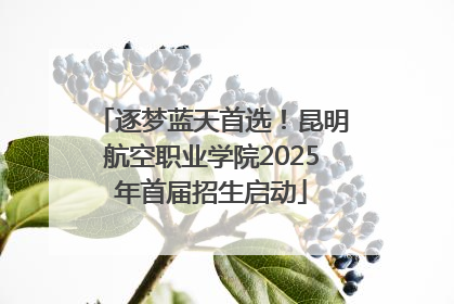 逐梦蓝天首选！昆明航空职业学院2025年首届招生启动