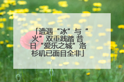 遭遇“冰”与“火”双重践踏 昔日“爱乐之城”洛杉矶已面目全非