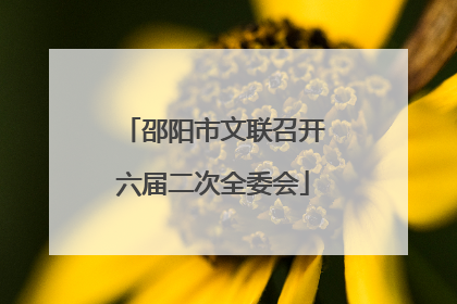 邵阳市文联召开六届二次全委会