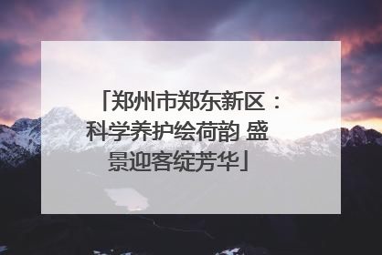 郑州市郑东新区：科学养护绘荷韵 盛景迎客绽芳华